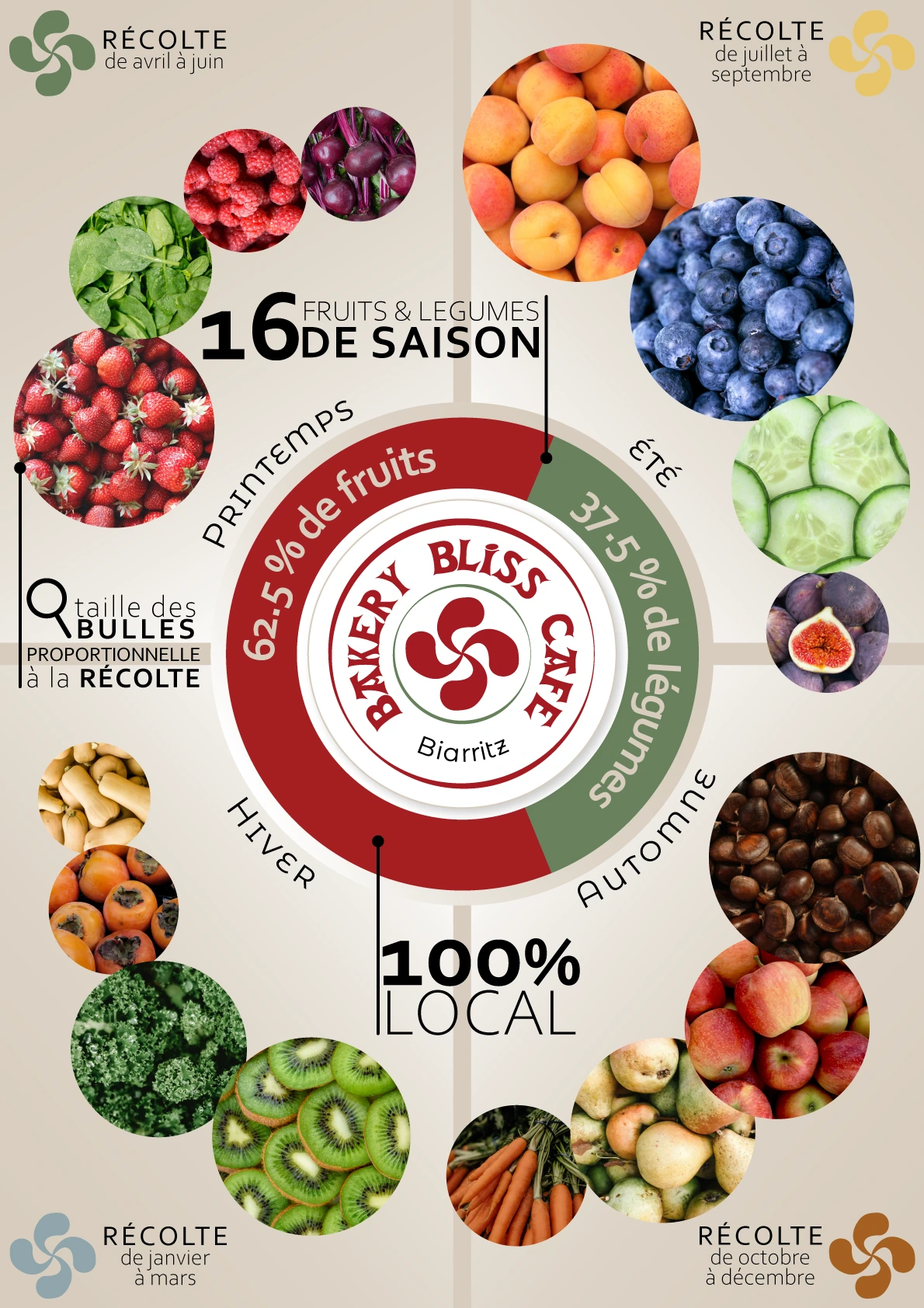 infographie illustrant les fruits et légumes de saison par trimestre: framboises, fraises, betteraves et épinards pour le printemps, récolte de avril à juin; concombre, myrtilles, abricots et figues pour l'été, récolte de juillet à septembre; poires, pommes, carottes et châtaignes pour l'automne, récolte de octobre à décembre; kiwis, kakis, courges et chou kale pour l'hiver, récolte de janvier à mars. Le visuel central affiche le logo de Bakery Bliss Café, avec le message "62.5% de fruits" et "37.5% de légumes", "100% local". Les fruits sont dans des bulles de tailles différentes qui représentent proportionnellement la récolte.